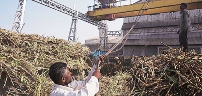 Açúcar/Ásia: alta dos preços encoraja exportações da Índia