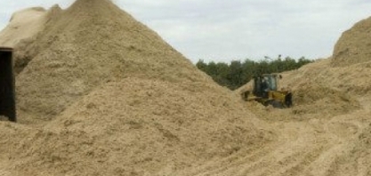 Nova rota biotecnológica possibilita obter produtos químicos finos de resíduos agrícolas