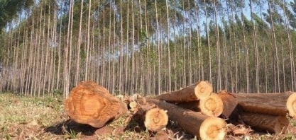 MS quer agregar valor a produção agropecuária com foco na sustentabilidade