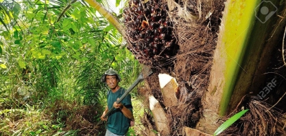 Tailândia incentiva motoristas a usar biodiesel para reduzir poluição