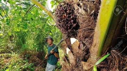Tailândia incentiva motoristas a usar biodiesel para reduzir poluição