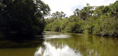 Minas Gerais conta com mais de 27 mil hectares de RPPN