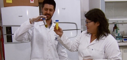 Pesquisa da USP de Pirassununga melhora processo de extração de óleos essenciais com uso de etanol