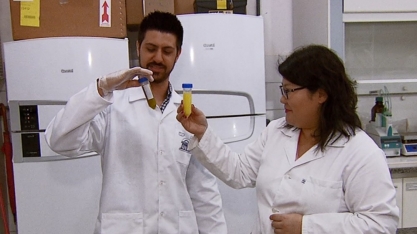 Pesquisa da USP de Pirassununga melhora processo de extração de óleos essenciais com uso de etanol