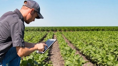 Nota de Esclarecimento: saída dos Técnicos Agrícolas do Sistema Confea/Crea