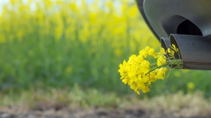 Emissões de CO2: Brasil está bem na foto