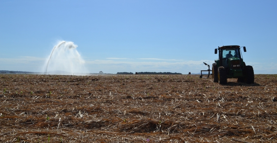 Quem investe em fertirrigação com vinhaça pode optar pela época de plantio da cana de outono/inverno, realizando o plantio entre maio e julho