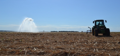 A importância de cumprir a janela de plantio de cana