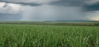 Sistema TEMPOCAMPO divulga boletim de janeiro