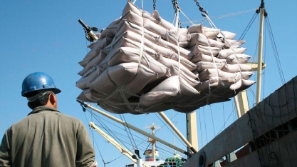 Usinas aceleram as fixações para 2020/2021