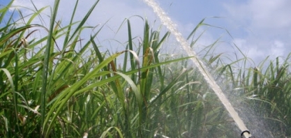 Pouca chuva preocupa fornecedores de cana de Alagoas