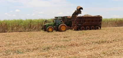 Nove municípios de MS estão entre as maiores economias agrícolas do País