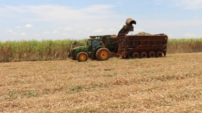 Nove municípios de MS estão entre as maiores economias agrícolas do País