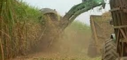 A Tecnologia no Agronegócio 