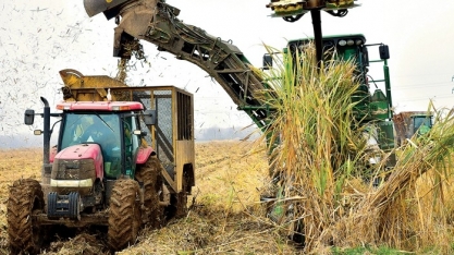 Crise de açúcar nos EUA deve piorar, diz maior corretora dos EUA