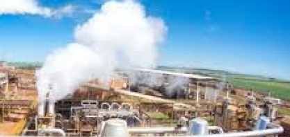 Resíduo da produção de etanol pode virar fertilizante agrícola