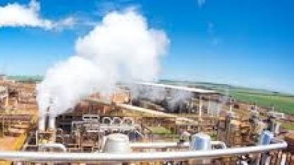 Resíduo da produção de etanol pode virar fertilizante agrícola