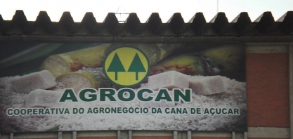Ótimo desempenho de usinas geridas por produtores anima primeira safra da Ener Sugar