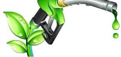 Grupo ECB fará diesel “verde” no Paraguai