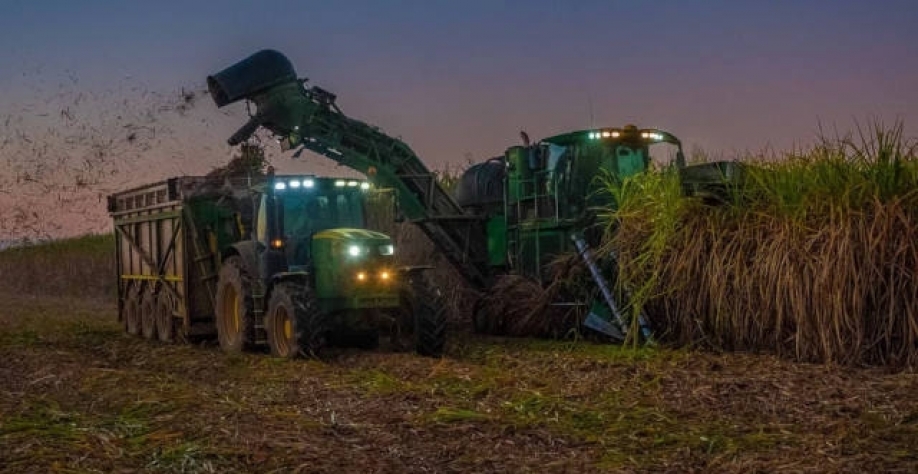 Colheita próxima da cana deve ser mais volumosa com as chuvas do Centro-Sul (Imagem: Pixabay)