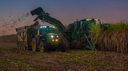 Mercado ainda avalia se volume maior de cana da safra nova pode tirar preços do açúcar
