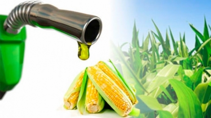 Oferta de etanol cresce em plena entressafra no centro-sul