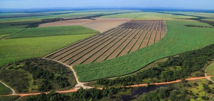 Em 2023, Uisa quer alcançar sua capacidade total de moagem – 6,3 milhões de toneladas