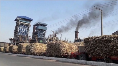 Setor de açúcar indiano almeja “oportunidade de ouro” na Indonésia