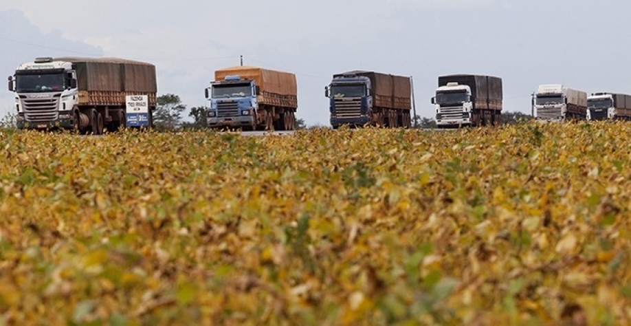 Caminhoneiros ainda defendem tabelamento, e produtores e tradings reclamam — Foto: Lalo de Almeida/Folhapress