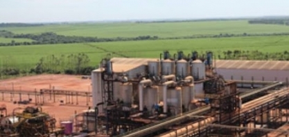 Raízen pode elevar moagem de cana em mais de 7% em 20/21; projeta 61-64 mi t