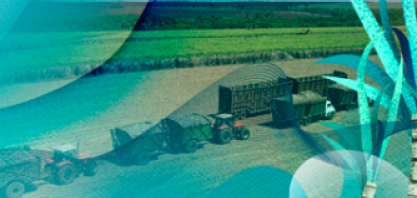 Produção de etanol de milho e importações ampliam oferta de biocombustível na entressafra