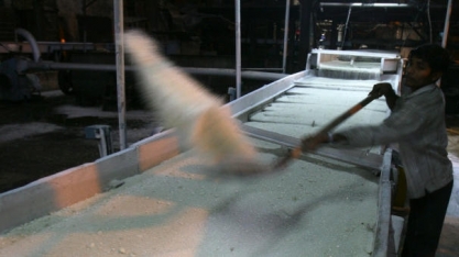 Índia corre risco de não cumprir meta de exportação de açúcar