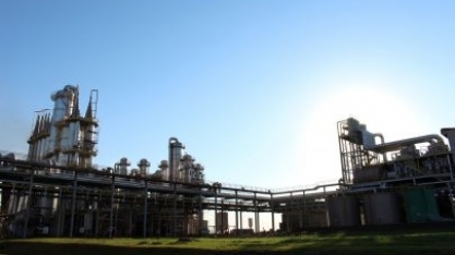 Adecoagro abre inscrições para seleção no Programa Líder Trainee 2020