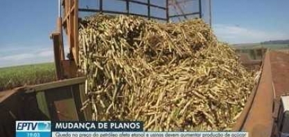 Analistas projetam moagem de cana até 3% maior e ascensão do açúcar na safra 2020/2021