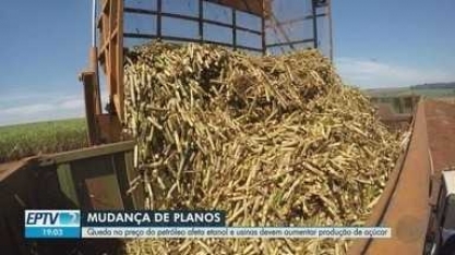 Analistas projetam moagem de cana até 3% maior e ascensão do açúcar na safra 2020/2021