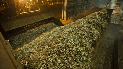 “Conecta Cana” alia agrícola e indústria para debater aumento da eficiência agroindustrial