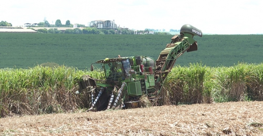 Usina em Batatais (SP) antecipa colheita da cana-de-açúcar — Foto: Sérgio Oliveira/EPTV