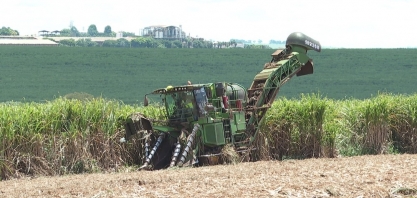 Moagem da cana-de-açúcar tem alta de 88% a 2 semanas do fim da safra 2019/2020 na região Centro-Sul