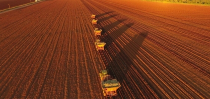 Inovações ampliam benefícios do plantio mecanizado de cana