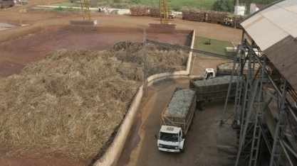 Moagem de cana cresce com tempo seco; Unica vê impacto pontual de Coronavírus