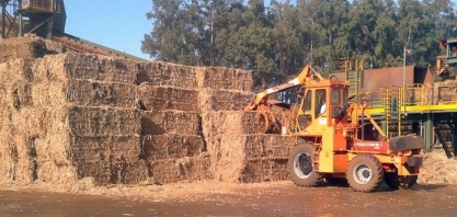 Simulador indica quantidade de palha ideal a ser deixada no solo
