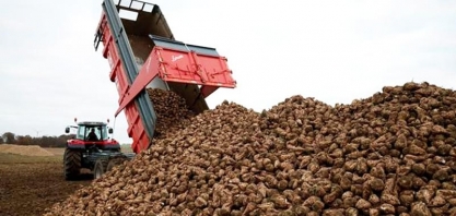 Cristal Union opera com capacidade reduzida devido à queda no etanol