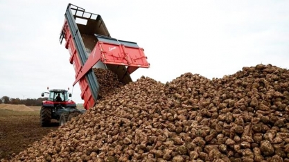 Cristal Union opera com capacidade reduzida devido à queda no etanol