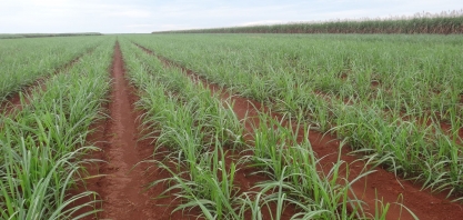 Usina Agro Serra, associada à UDOP, doa 500 mil litros de etanol ao Maranhão
