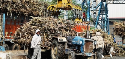 Exportação de açúcar da Índia deve ficar 20% abaixo do estimado, diz associação