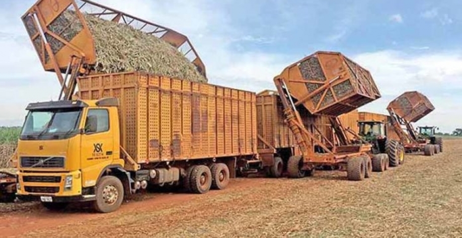 A cotação no mercado internacional estimula o mix açucareiro | Crédito: REUTERS/Marcelo Teixeira