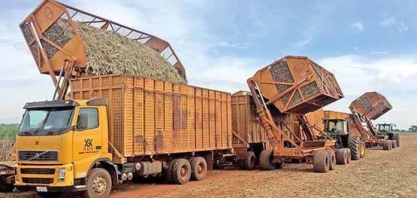 Usineiros tendem a produzir mais açúcar do que etanol