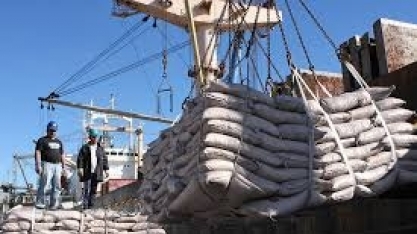 Um cisne em forma de vírus