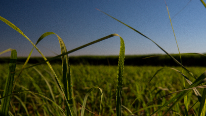 Raízen realiza maior negociação em volume de máquinas pesadas