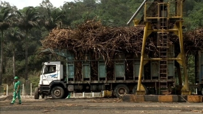 Safra da cana-de-açúcar se encerra no fim de março